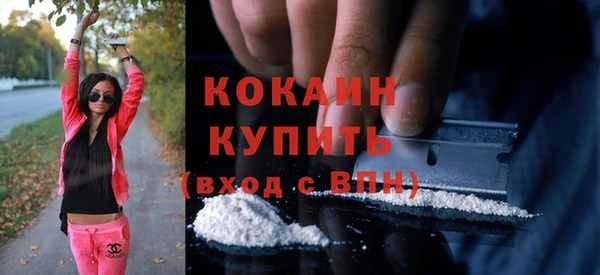 гашик Дмитриев