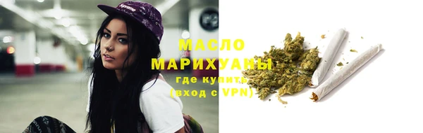 гашик Дмитриев