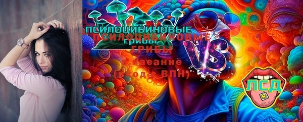 скорость Гусев