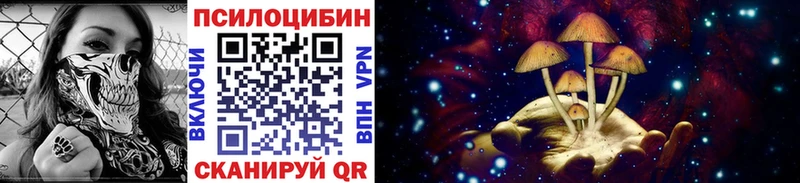 Галлюциногенные грибы Psilocybine cubensis  Купить где  Обь 